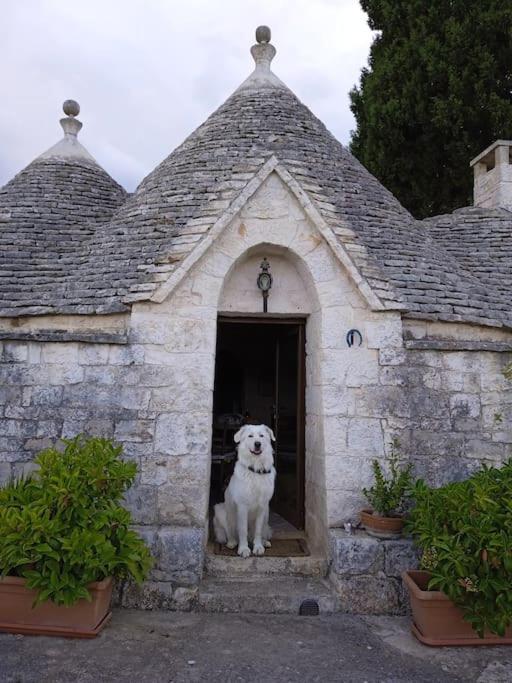 Gasphouse Villa Castellana Grotte Exterior foto