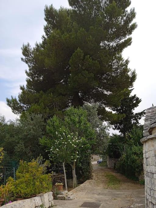 Gasphouse Villa Castellana Grotte Exterior foto